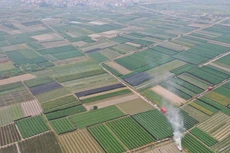 Ảnh chỉ mang tính minh họa. Nguồn Internet