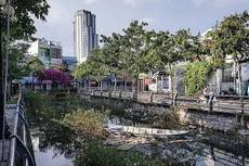 Ảnh chỉ mang tính minh họa. Nguồn Internet