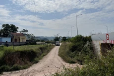 Ảnh chỉ mang tính minh họa. Nguồn Internet