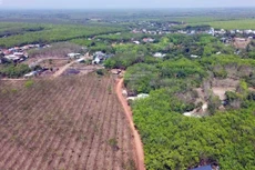 Ảnh chỉ mang tính minh họa. Nguồn Internet