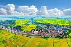 Đồng bằng Sông Hồng là địa bàn chiến lược đặc biệt quan trọng và là trung tâm dẫn dắt nền kinh tế, chuyển đổi mô hình tăng trưởng của đất nước. Ảnh chỉ mang tính minh họa. Nguồn Internet