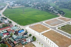 Ảnh chỉ mang tính minh họa. Nguồn Internet