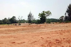 Chuyển mục đích sử dụng đất tại tỉnh Sóc Trăng và tỉnh Long An.