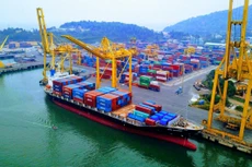 Ảnh chỉ mang tính minh họa. Nguồn Internet