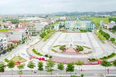 Ảnh chỉ mang tính minh họa. Nguồn Internet