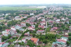 Ảnh chỉ mang tính minh họa. Nguồn Internet