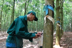 Ảnh chỉ mang tính minh họa. Nguồn Internet