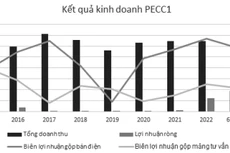 (Nguồn: Báo cáo tài chính hợp nhất của PECC1, đơn vị tính: tỷ đồng)