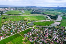 Ảnh chỉ mang tính minh họa. Nguồn Internet