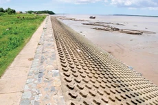 Ảnh chỉ mang tính minh họa. Nguồn Internet