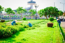 Ảnh chỉ mang tính minh họa. Nguồn Internet