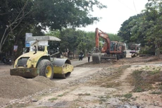 Ảnh chỉ mang tính minh họa. Nguồn Internet