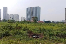 Ảnh chỉ mang tính minh họa. Nguồn Internet