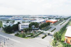 Ảnh chỉ mang tính minh họa. Nguồn Internet