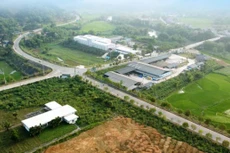 Ảnh chỉ mang tính minh họa. Nguồn Internet