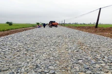 Ảnh chỉ mang tính minh họa. Nguồn Internet