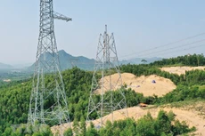 Ảnh chỉ mang tính minh họa. Nguồn Internet