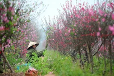 Bản tin thời sự sáng 27/12