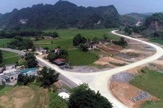 Ảnh chỉ mang tính minh họa. Nguồn Internet