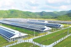 Vinamilk và một số doanh nghiệp lớn đã ứng dụng thành công mô hình kinh tế tuần hoàn, biến rác thải/phụ phẩm thành nguyên liệu mới Ảnh: Huấn Anh