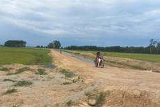 Ảnh chỉ mang tính minh họa. Nguồn Internet