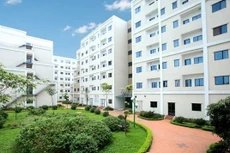 Ảnh chỉ mang tính minh họa. Nguồn Internet