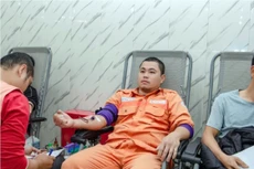 Nhiệt điện Hải Phòng hưởng ứng Tuần lễ hồng EVN lần IX