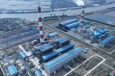 Ảnh chỉ mang tính minh họa. Nguồn Internet