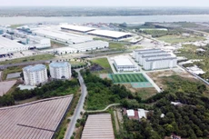 Ảnh chỉ mang tính minh họa. Nguồn Internet