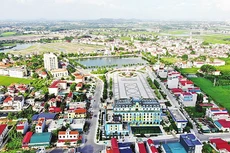 Bắc Giang: Đấu giá 69 lô đất huyện Việt Yên