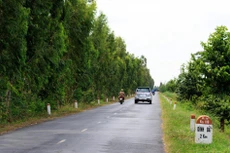 Một đoạn Quốc lộ 30 đoạn Hồng Ngự - Dinh Bà.