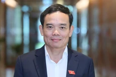 Quốc hội phê chuẩn ông Trần Lưu Quang làm Phó Thủ tướng Chính phủ