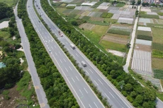 Ảnh chỉ mang tính minh họa. Nguồn Internet