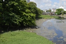 Bản tin thời sự sáng 11/5