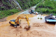 Ảnh chỉ mang tính minh họa. Nguồn Internet