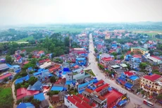 Ảnh chỉ mang tính minh họa. Nguồn Internet