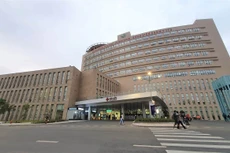 Ảnh chỉ mang tính minh họa. Nguồn Internet