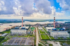 Ảnh chỉ mang tính minh họa. Nguồn Internet