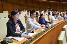 Các đại biểu Quốc hội tham gia biểu quyết 