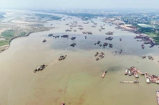 Bản tin thời sự sáng 19/11