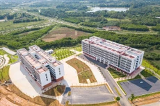 Ảnh chỉ mang tính minh họa. Nguồn Internet