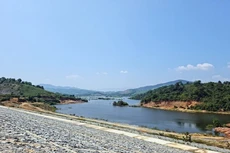 Ảnh chỉ mang tính minh họa. Nguồn Internet