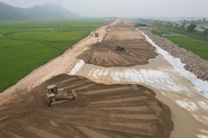 Ảnh chỉ mang tính minh họa. Nguồn Internet