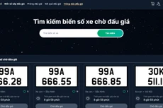Danh sách biển số chờ đấu giá