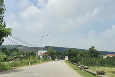 Ảnh chỉ mang tính minh họa. Nguồn Internet