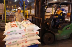 15 triệu tấn đạm và 20 năm lao động sáng tạo không ngừng