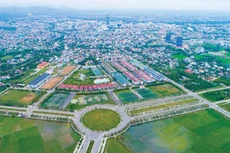 Ảnh chỉ mang tính minh họa. Nguồn Internet