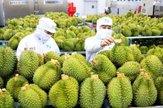 Ảnh chỉ mang tính minh họa. Nguồn Internet