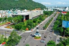 Ảnh chỉ mang tính minh họa. Nguồn Internet