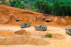 Ảnh chỉ mang tính minh họa. Nguồn Internet